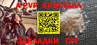 стаф Будённовск