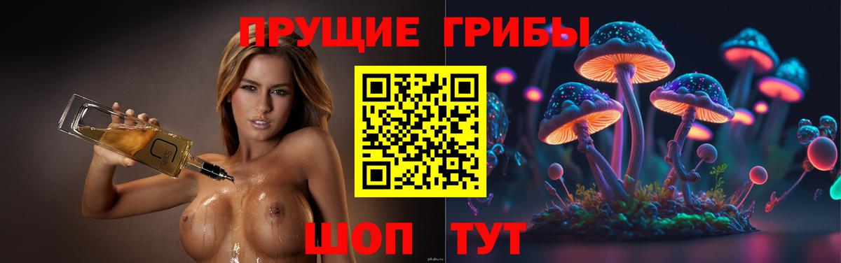 Ревда  Псилоцибиновые грибы мухоморы  Вход с VPN 